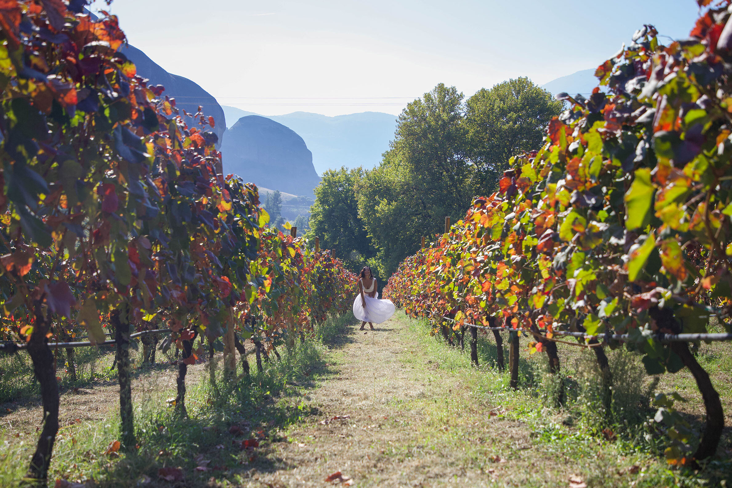 Strolling amongst the vineyards of Meteora